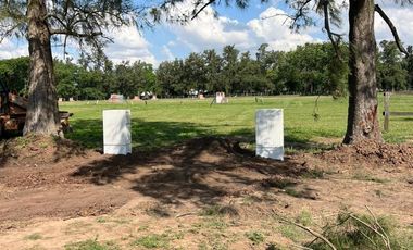 place photo 61