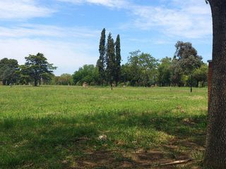 Foto 2 de Lote en San Eduardo, Pilar del Este