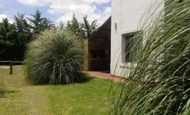 similar_image