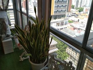 Foto 9 de Departamento en venta en Quilmes Centro