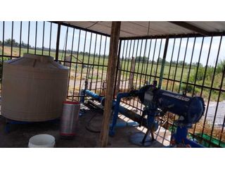 Foto 5 de VENTA DE EXCELENTE FINCA 20 HAS , EN LA LIBERTAD- RIVADAVIA, MZA.