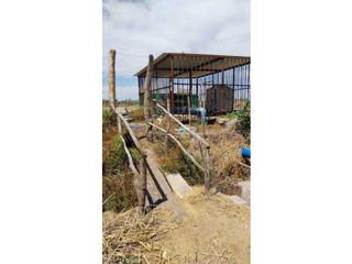 Foto 8 de VENTA DE EXCELENTE FINCA 20 HAS , EN LA LIBERTAD- RIVADAVIA, MZA.