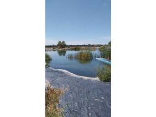 Foto 3 de VENTA DE EXCELENTE FINCA 20 HAS , EN LA LIBERTAD- RIVADAVIA, MZA.