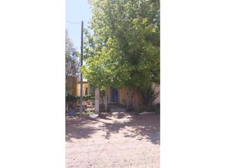 Foto 11 de VENTA DE EXCELENTE FINCA 20 HAS , EN LA LIBERTAD- RIVADAVIA, MZA.