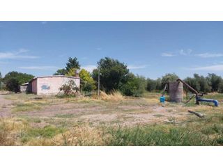 Foto 7 de VENTA DE EXCELENTE FINCA 20 HAS , EN LA LIBERTAD- RIVADAVIA, MZA.