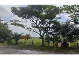 Vendo lote Potrerito Jamundí Valle del Cauca, vía a Rio Claro, 78.693 M2, topografía plana-9372