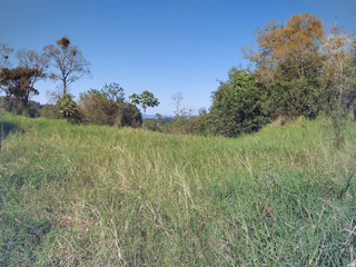 Foto 4 de Venta Lote en Ruiz de Montoya Misiones