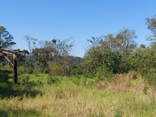 Foto 3 de Venta Lote en Ruiz de Montoya Misiones