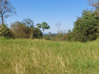 Foto 6 de Venta Lote en Ruiz de Montoya Misiones