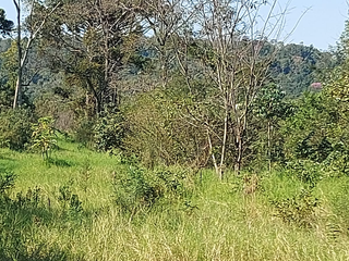 Foto 1 de Venta Lote en Ruiz de Montoya Misiones