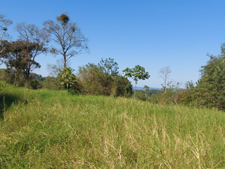 Foto 5 de Venta Lote en Ruiz de Montoya Misiones