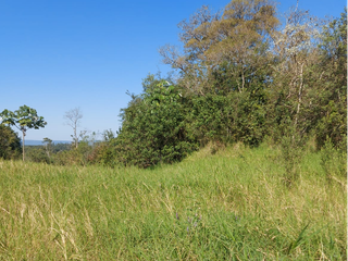 Foto 8 de Venta Lote en Ruiz de Montoya Misiones