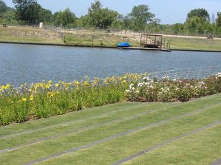 Foto 29 de Excelente lote al rio en cul de sac en Albanueva, con amarra, muy buena vista, venta