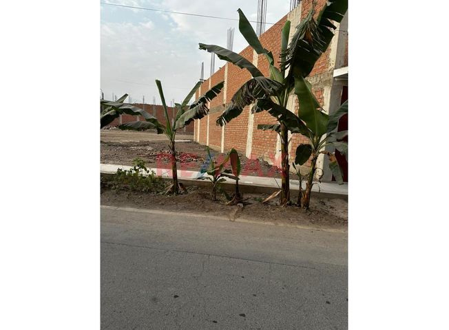 Terreno en Venta en Carabayllo - Vista 4