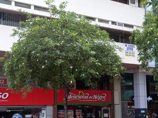 Foto 1 de AMPLIA OFICINA EN VENTA CENTRO DE GUAYAQUIL (RS)