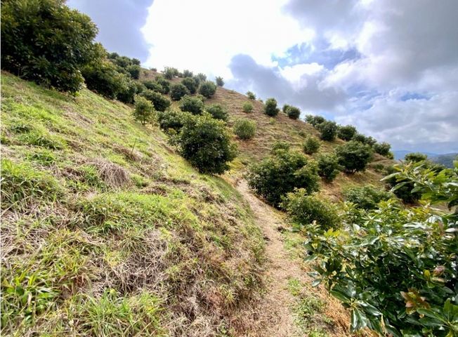 place photo 58
