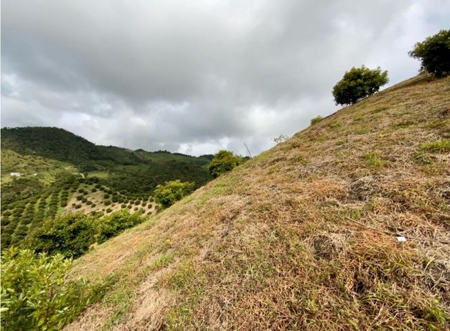 place photo 62