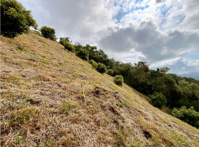 place photo 63