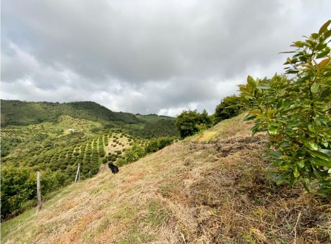 place photo 61