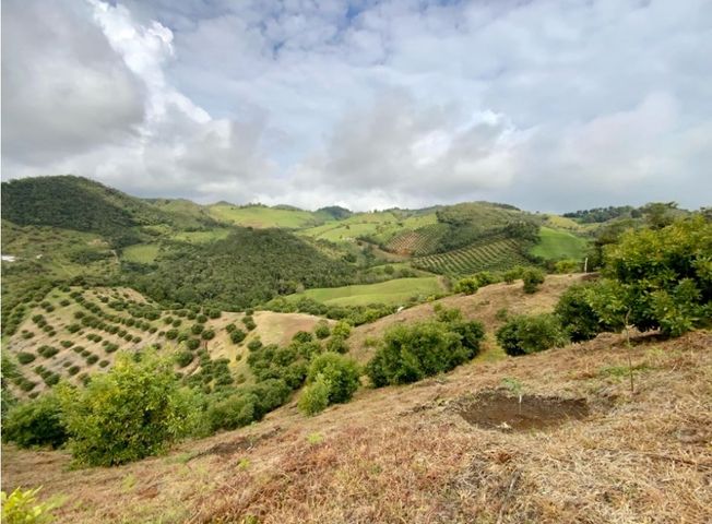 place photo 66