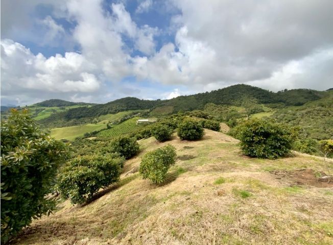 place photo 60