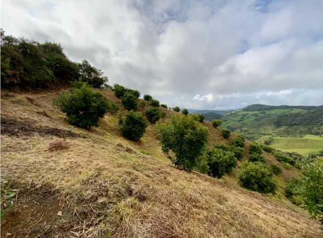 place photo 67