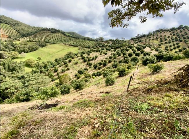 place photo 42