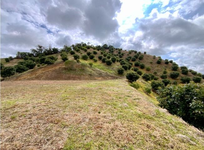 place photo 47