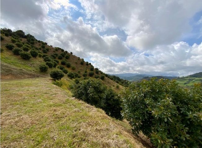 place photo 48