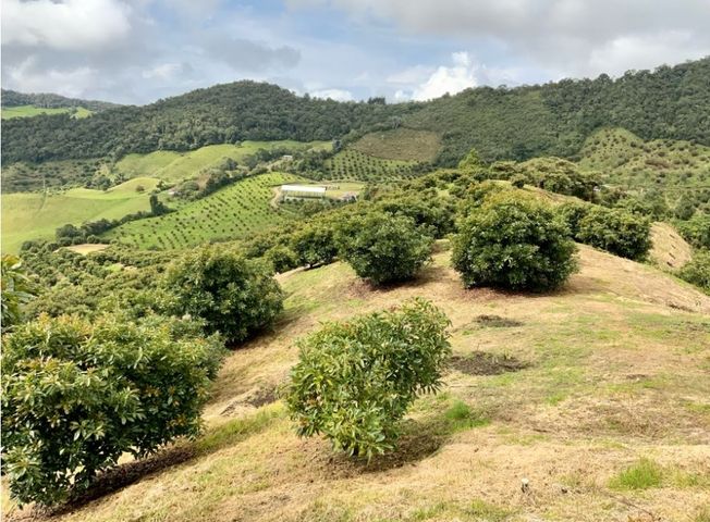 place photo 49