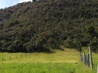 Foto 9 de CASA LOTE GUASCA 6200 m2, EL SALITRE