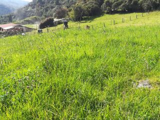 Foto 7 de CASA LOTE GUASCA 6200 m2, EL SALITRE