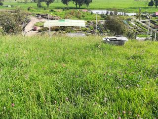 Foto 4 de CASA LOTE GUASCA 6200 m2, EL SALITRE