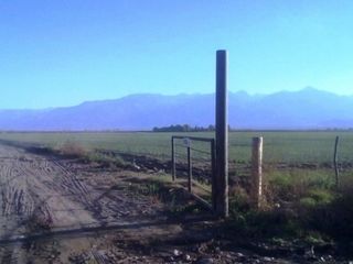 Finca de 41 has. a 2000 mts. del Corredor Productivo, en Tunuyan, Valle de Uco. con pozo y riego por goteo.