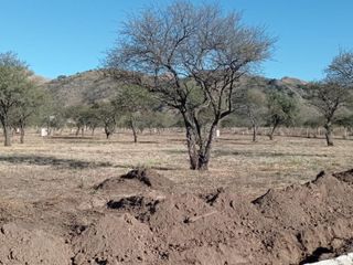 Foto 7 de TERRENO EN VENTA LA PANCHA 3