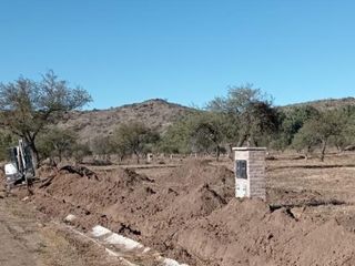 Foto 9 de TERRENO EN VENTA LA PANCHA 3
