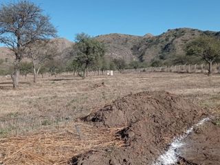 Foto 11 de TERRENO EN VENTA LA PANCHA 3