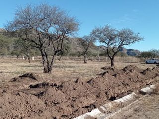 Foto 6 de TERRENO EN VENTA LA PANCHA 3