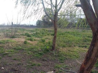 Foto 1 de Campo | Ruta 250 al 200