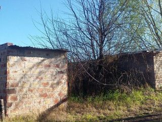 Foto 15 de Campo | Ruta 250 al 200