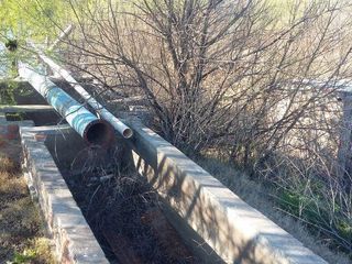 Foto 6 de Campo | Ruta 250 al 200