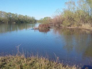 Foto 14 de Campo | Ruta 250 al 200