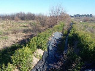 Foto 7 de Campo | Ruta 250 al 200