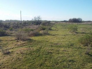 Foto 3 de Campo | Ruta 250 al 200