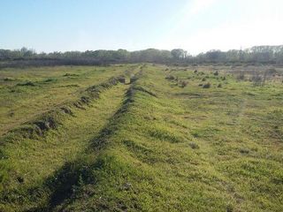Foto 11 de Campo | Ruta 250 al 200