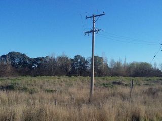 Foto 2 de Campo | Ruta 250 al 200
