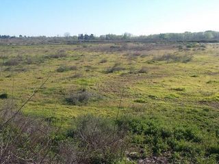 Foto 8 de Campo | Ruta 250 al 200
