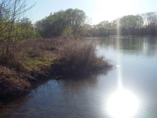 Foto 5 de Campo | Ruta 250 al 200