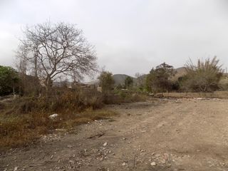 Venta de terreno de 4,000 m2 en Santa Cruz de Flores, Cañete