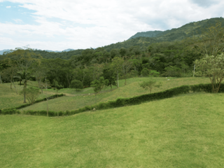 Foto 10 de lote en venta en villeta. Cod V31909